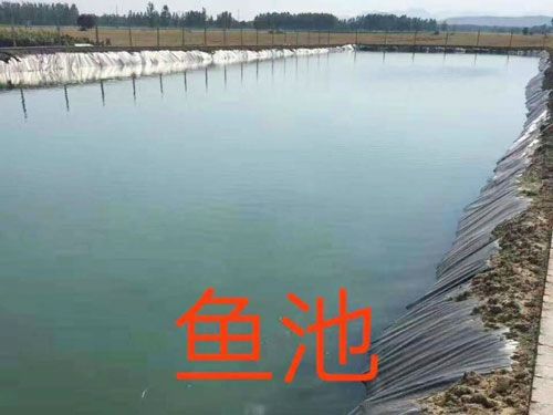 魚池防滲